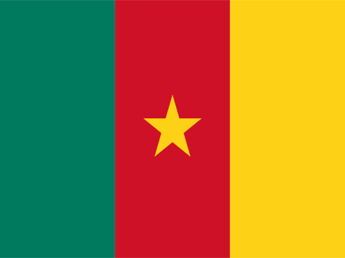 Cameroon flag