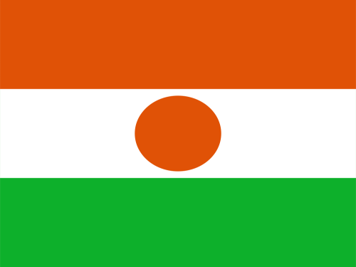 Niger flag